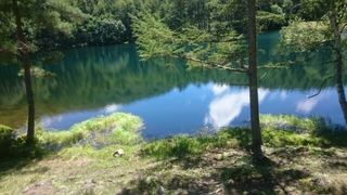 20180907221516663.jpg