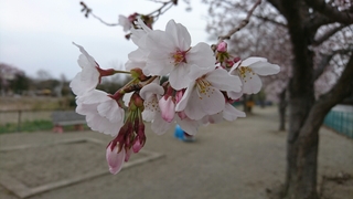 20190331221551535.jpg