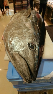 20200122185129178.jpg
