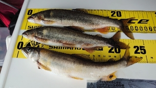 20201001232254235.jpg