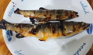 20201001232456484.jpg
