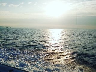 20201008194921576.jpg