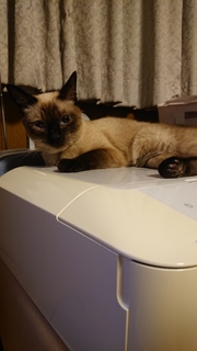 20201010234010418.jpg