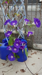 20201015134712622.jpg