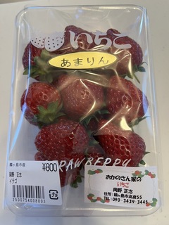 IMG_6961.jpeg